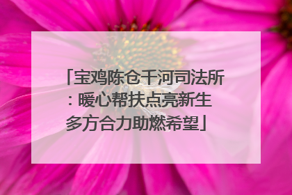 宝鸡陈仓千河司法所：暖心帮扶点亮新生 多方合力助燃希望