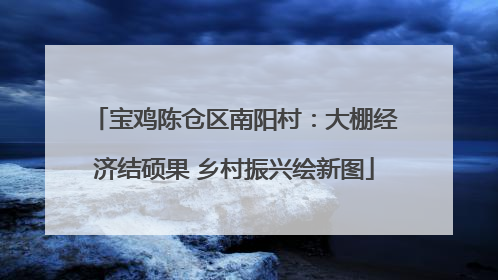 宝鸡陈仓区南阳村：大棚经济结硕果 乡村振兴绘新图