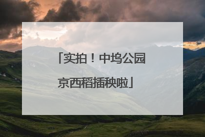 实拍！中坞公园京西稻插秧啦