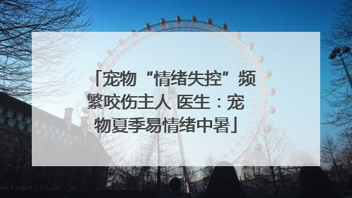宠物“情绪失控”频繁咬伤主人 医生：宠物夏季易情绪中暑
