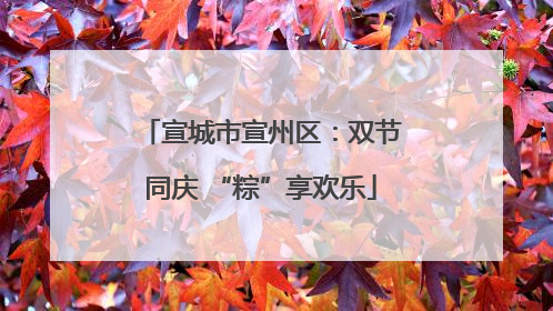 宣城市宣州区：双节同庆 “粽”享欢乐