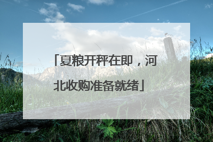 夏粮开秤在即，河北收购准备就绪