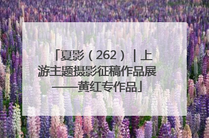 夏影（262）｜上游主题摄影征稿作品展——黄红专作品