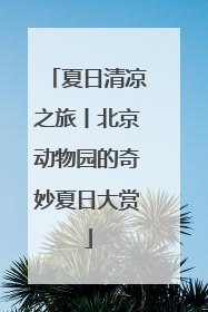 夏日清凉之旅丨北京动物园的奇妙夏日大赏