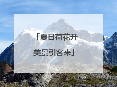 夏日荷花开 美景引客来