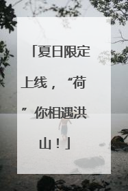 夏日限定上线，“荷”你相遇洪山！