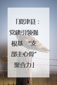 夏津县：党建引领强根基 “支部主心骨”聚合力