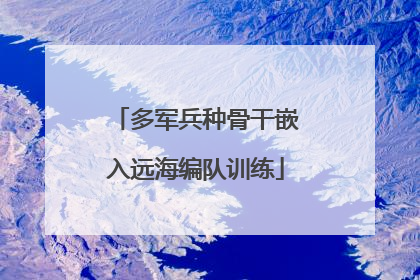 多军兵种骨干嵌入远海编队训练