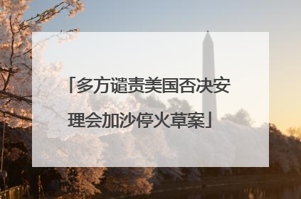 多方谴责美国否决安理会加沙停火草案