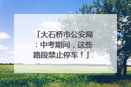 大石桥市公安局：中考期间，这些路段禁止停车！