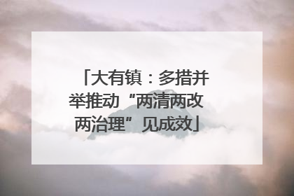 大有镇：多措并举推动“两清两改两治理”见成效