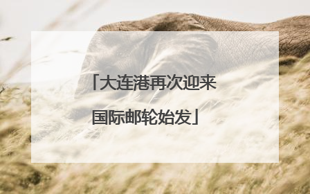 大连港再次迎来国际邮轮始发