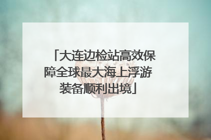 大连边检站高效保障全球最大海上浮游装备顺利出境