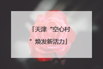 天津“空心村”焕发新活力
