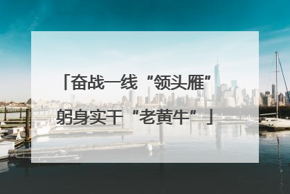 奋战一线“领头雁” 躬身实干“老黄牛”