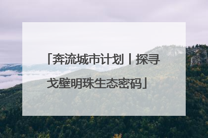 奔流城市计划丨探寻戈壁明珠生态密码