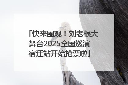 快来围观！刘老根大舞台2025全国巡演宿迁站开始抢票啦