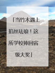 当竹木遇上掐丝珐琅！这所学校捧回省级大奖