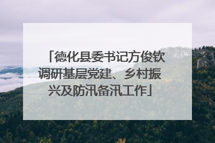 德化县委书记方俊钦调研基层党建、乡村振兴及防汛备汛工作