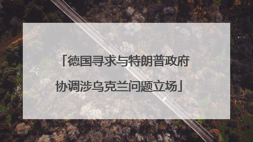 德国寻求与特朗普政府协调涉乌克兰问题立场