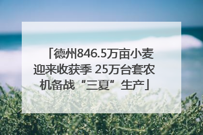 德州846.5万亩小麦迎来收获季 25万台套农机备战“三夏”生产