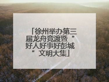 徐州举办第三届龙舟竞渡暨“好人好事好彭城”文明大集