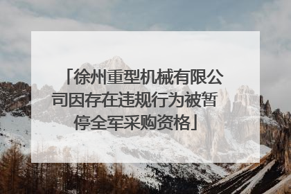 徐州重型机械有限公司因存在违规行为被暂停全军采购资格