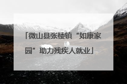 微山县张楼镇“如康家园”助力残疾人就业