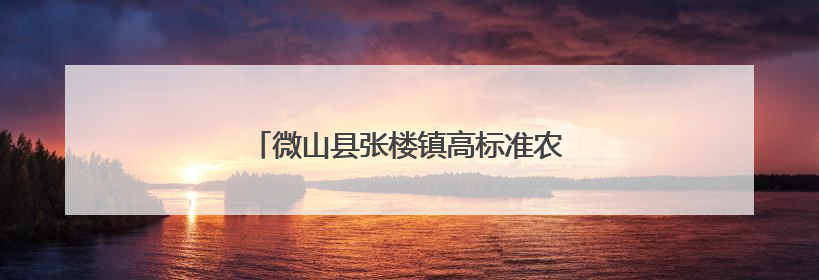 微山县张楼镇高标准农田建设绘就好“丰”景