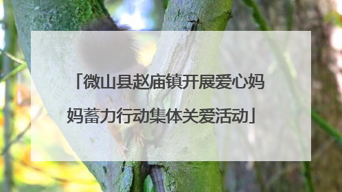 微山县赵庙镇开展爱心妈妈蓄力行动集体关爱活动