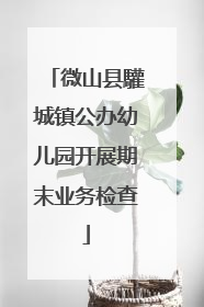 微山县驩城镇公办幼儿园开展期末业务检查