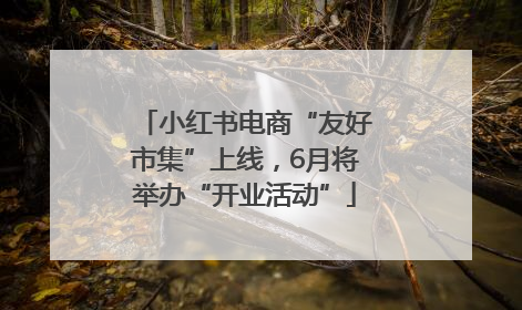 小红书电商“友好市集”上线，6月将举办“开业活动”