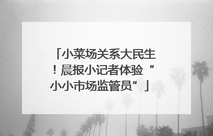 小菜场关系大民生！晨报小记者体验“小小市场监管员”