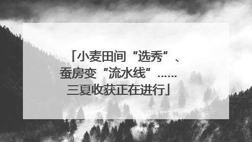小麦田间“选秀”、蚕房变“流水线”……三夏收获正在进行