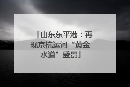 山东东平港：再现京杭运河“黄金水道”盛景