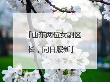 山东两位女副区长，同日履新
