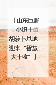 山东巨野：小镇千亩胡萝卜基地迎来“智慧大丰收”