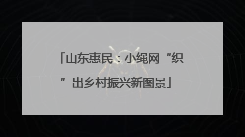 山东惠民：小绳网“织”出乡村振兴新图景
