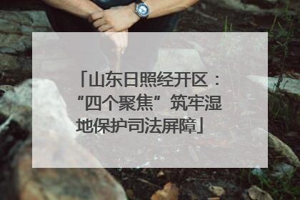 山东日照经开区：“四个聚焦”筑牢湿地保护司法屏障