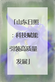 山东日照：科技赋能引领高质量发展