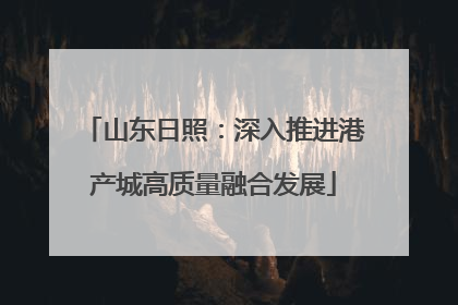 山东日照：深入推进港产城高质量融合发展