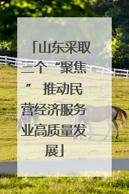 山东采取三个“聚焦” 推动民营经济服务业高质量发展