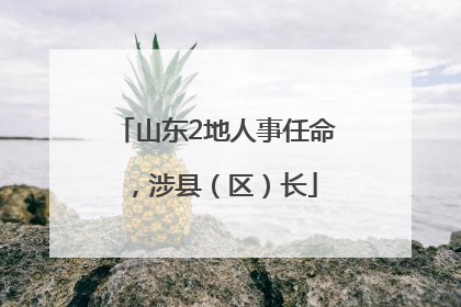 山东2地人事任命，涉县（区）长