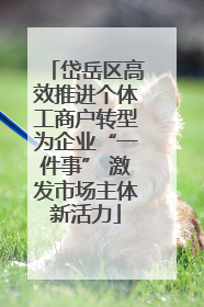 岱岳区高效推进个体工商户转型为企业“一件事” 激发市场主体新活力