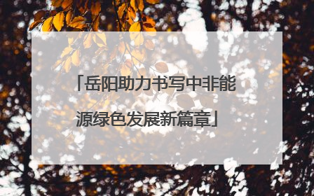 岳阳助力书写中非能源绿色发展新篇章