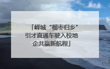 峄城“榴枣归乡”引才直通车驶入校地企共赢新航程