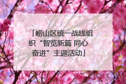 崂山区统一战线组织“智览新篇 同心奋进”主题活动