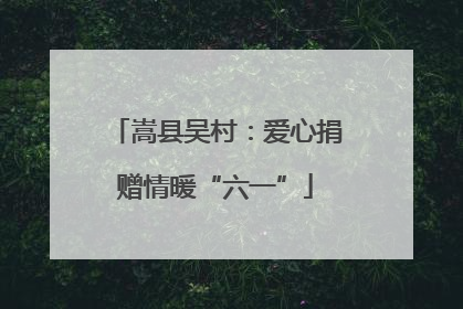 嵩县吴村：爱心捐赠情暖“六一”