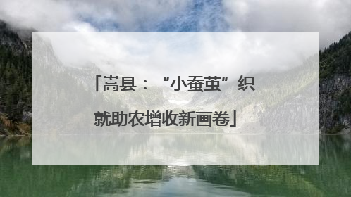 嵩县：“小蚕茧”织就助农增收新画卷