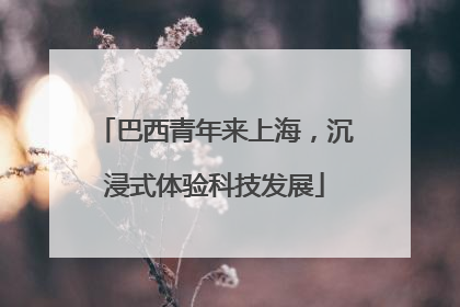 巴西青年来上海，沉浸式体验科技发展